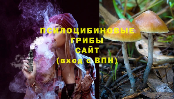 крисы Белокуриха