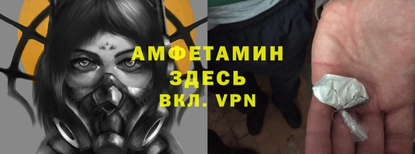 крисы Белокуриха